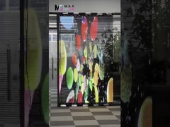 Shenzhen Maxcolor Visual